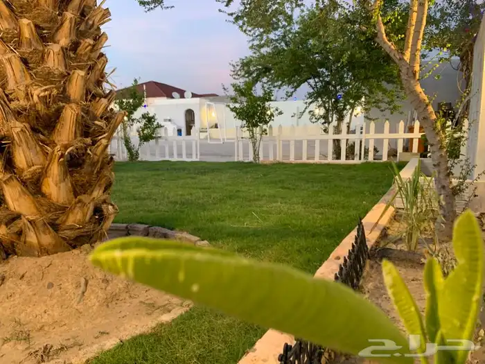 شتوية ومخيم شاليهات حوري للإيجار اليومي. 0