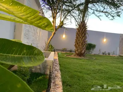 استراحات وشاليهات حوري للإيجار اليومي. 1