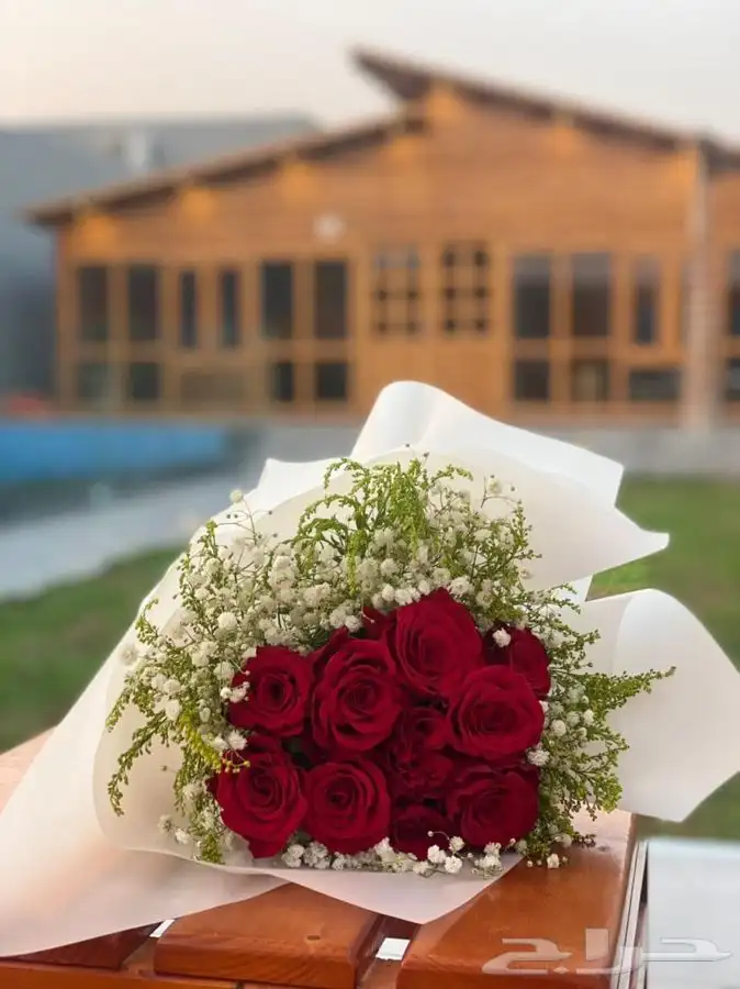 كوخ ريفي فندقي 27