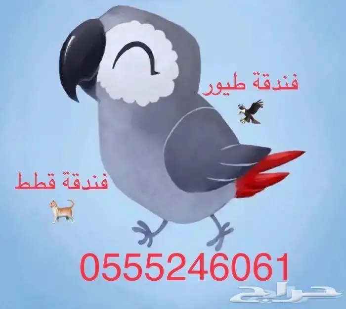 فندقة طيور وقطط 6061 24 0555 الرياض 0