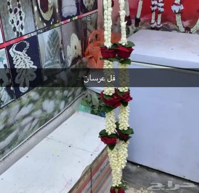 فل عرسان تواصل واتس اب 0
