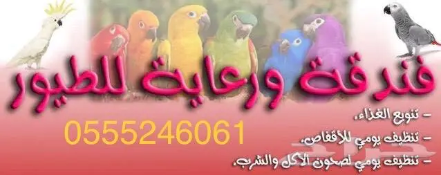 فندقة طيور وحيوانات بالرياض 0