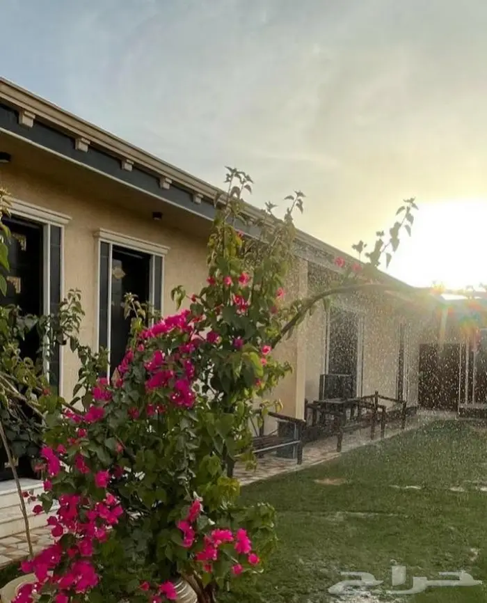 شاليه المنار 1