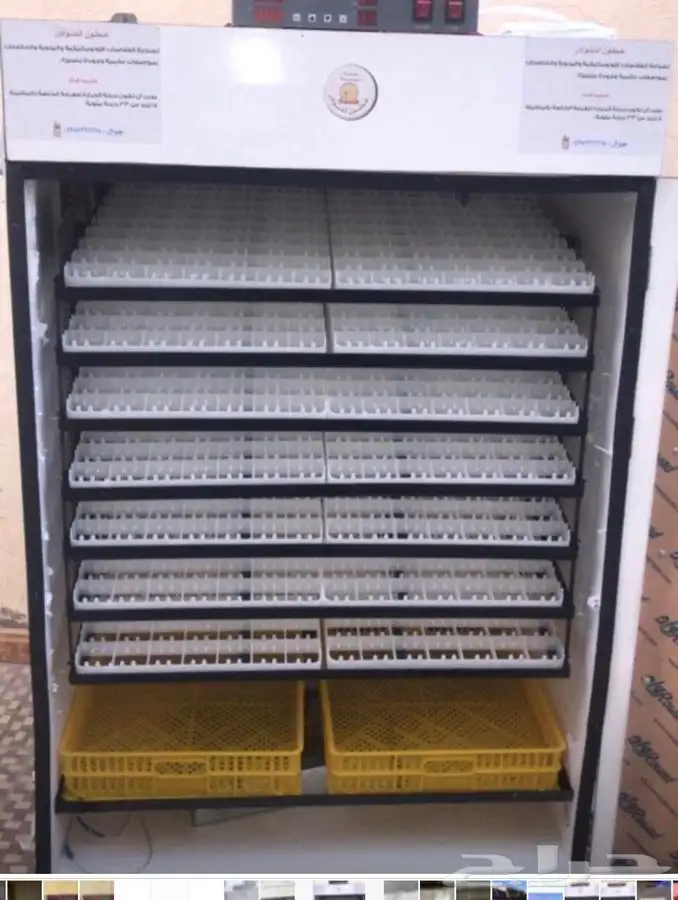 فقاسات الياسريه 0