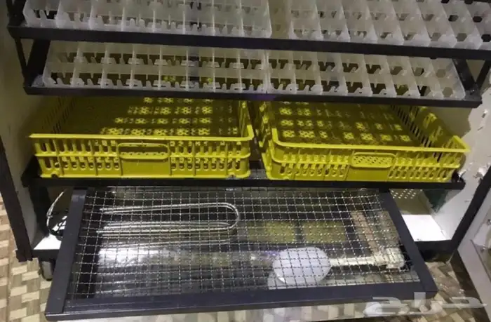 فقاسات الياسريه 1