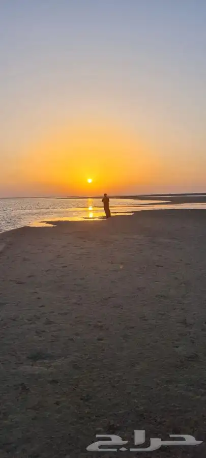 قارب للتأجير بالرايس 12