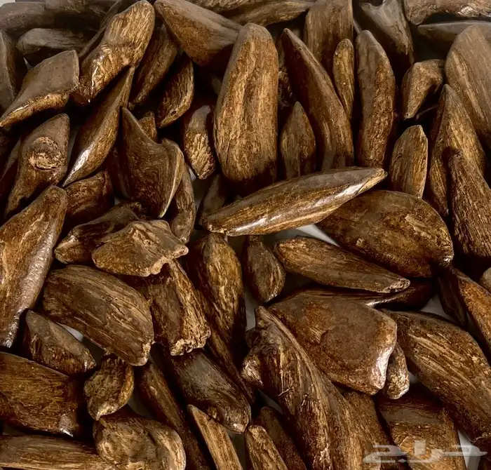 عود مروكي محسن طبيعي بيور ( 101 تقييم إيجابي ) 2