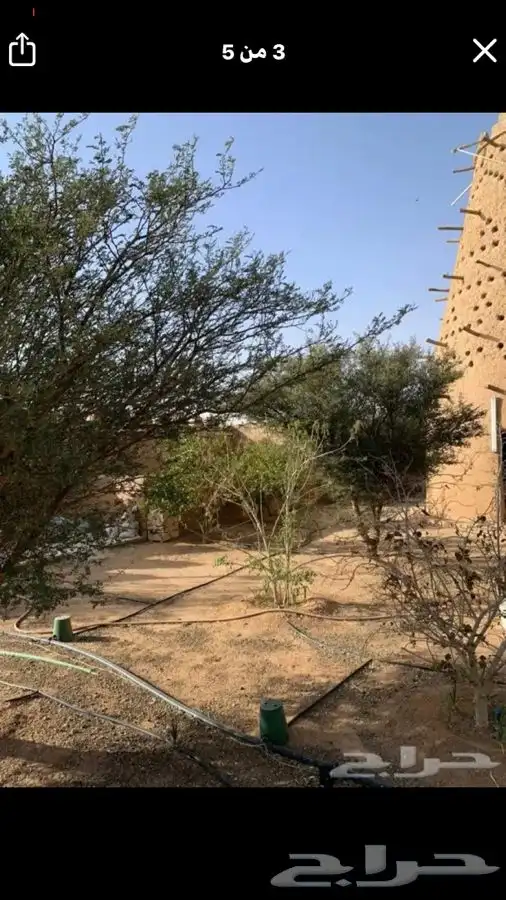استراحة للايجار اليومي في ام رجوم 4