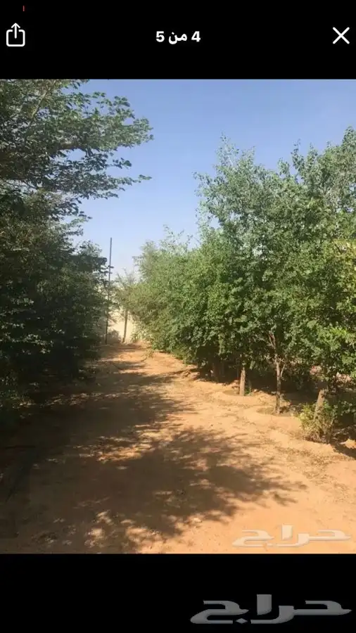 استراحة للايجار اليومي في ام رجوم 2