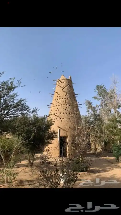 استراحة للايجار اليومي في ام رجوم 0