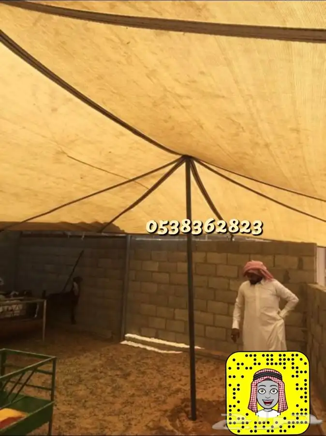 لبيع مضلات الغنم والابل والخيام ولوازم المخيمات 12