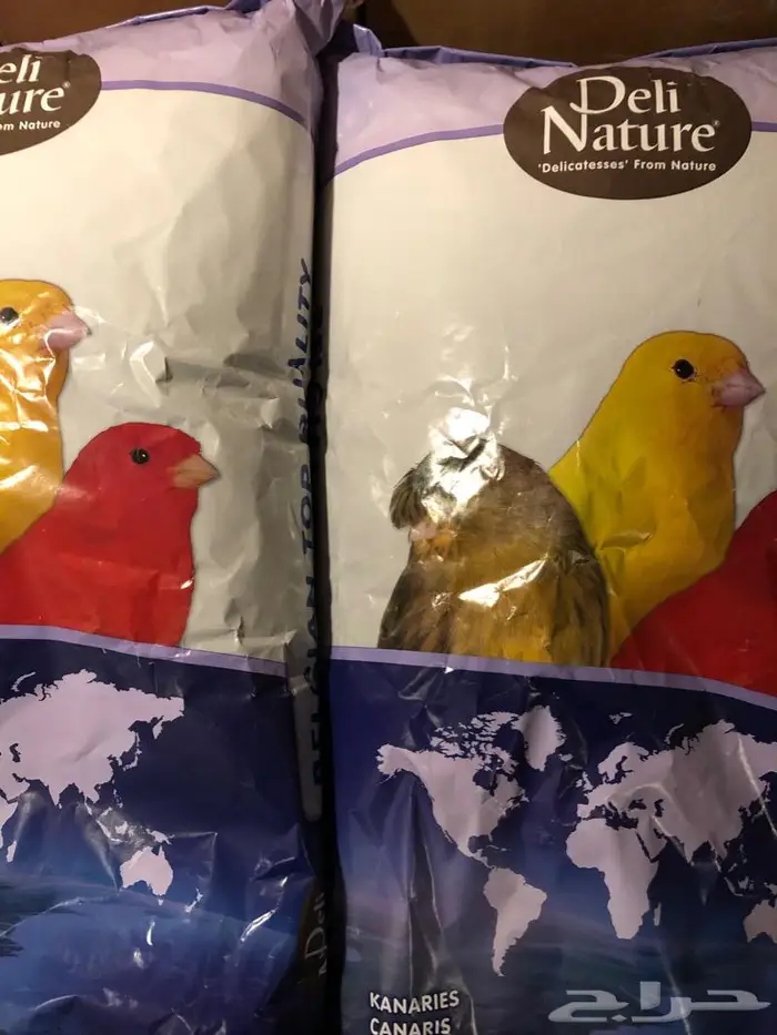 أكل كناري ديلي ناتشر فيرسلاقا افيسنترا 0