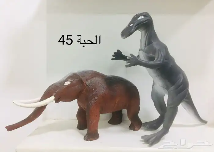 ديناصورات بلاستيك وهياكل عظمية خشبية وبلاستيكية للبيع 17
