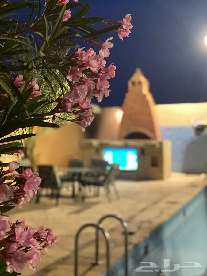 شالية استراحة مزرعة 10