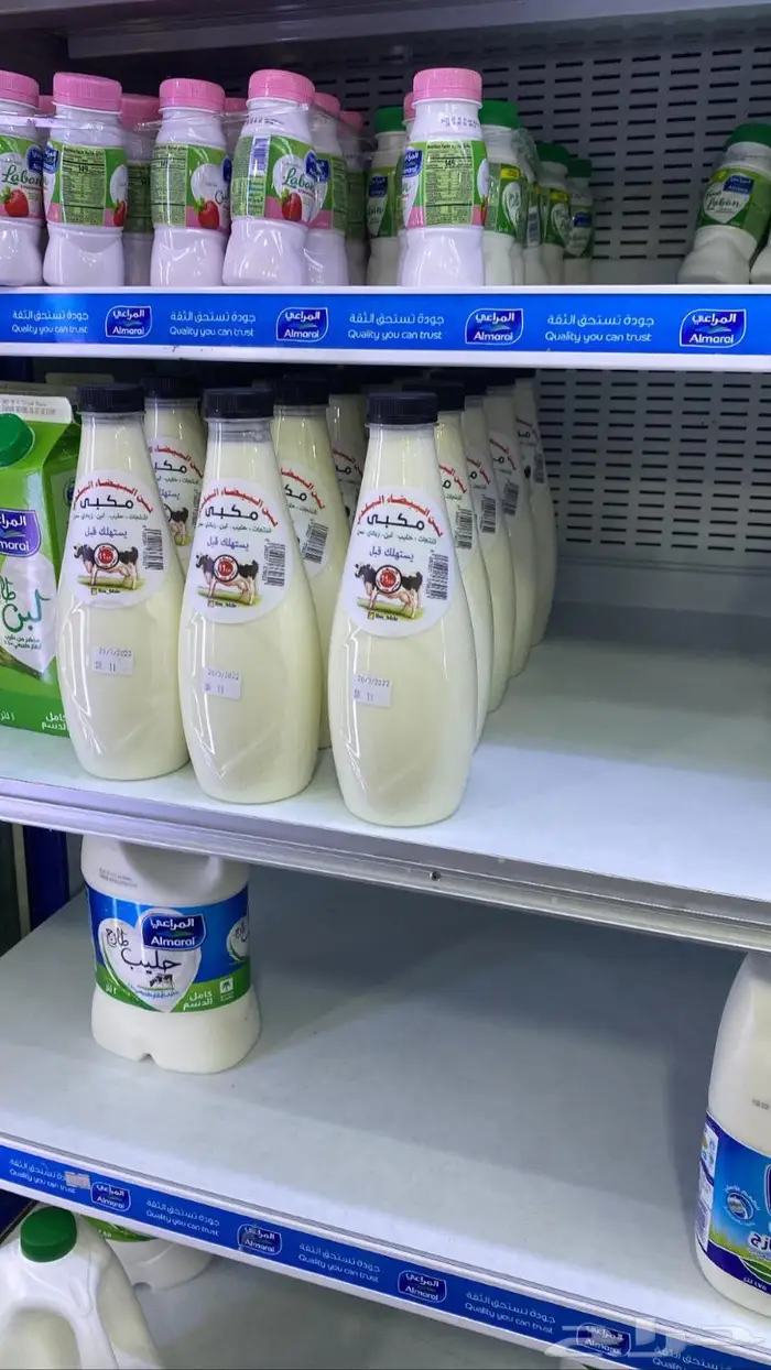 لبن البيضاء البلدي 5