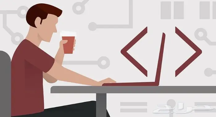 مبرمج مواقع إلكترونية و تطبيقات ويب 2