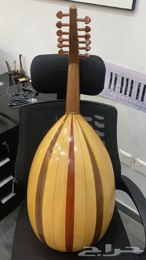 عود مصري 1
