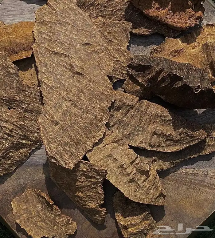 تشار هندي سوبر مرتفع 1