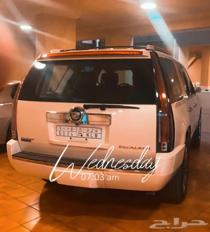 موصل حيوانات و طيور 7