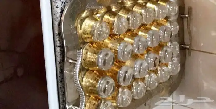 ابحث عن وضيفه راتب صباحي في شركات 0