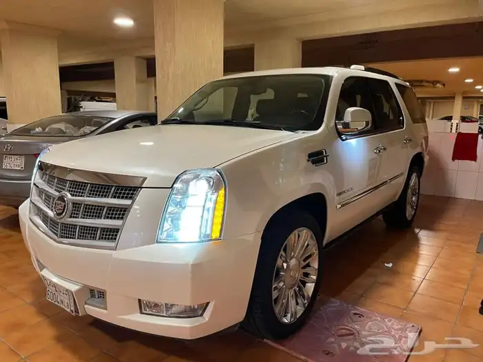 موصل حيوانات و طيور 6