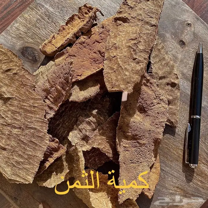تشار هندي سوبر مرتفع 4