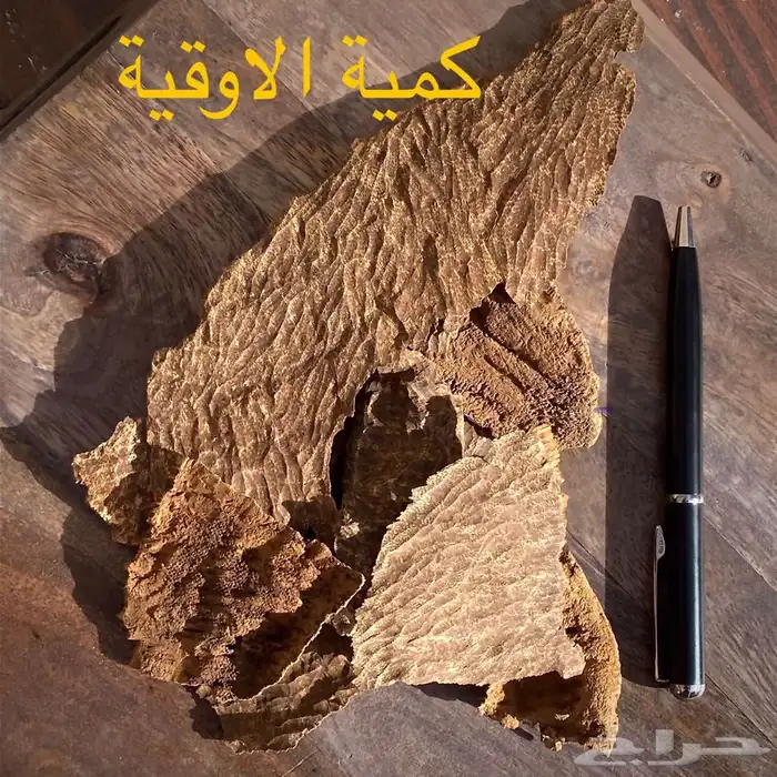 تشار هندي سوبر مرتفع 5