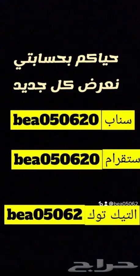 فندقه قطط تزوج قطط كل ما يخص الحيوانات يتوفر تطعيم 4