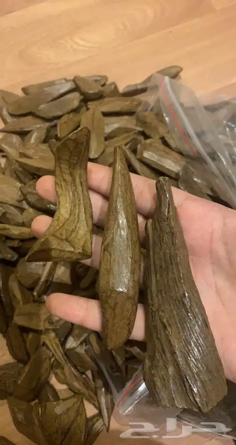 عود عرض خاااص 1
