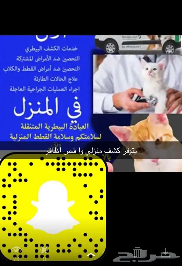 فندقه قطط تزوج قطط كل ما يخص الحيوانات يتوفر تطعيم 8