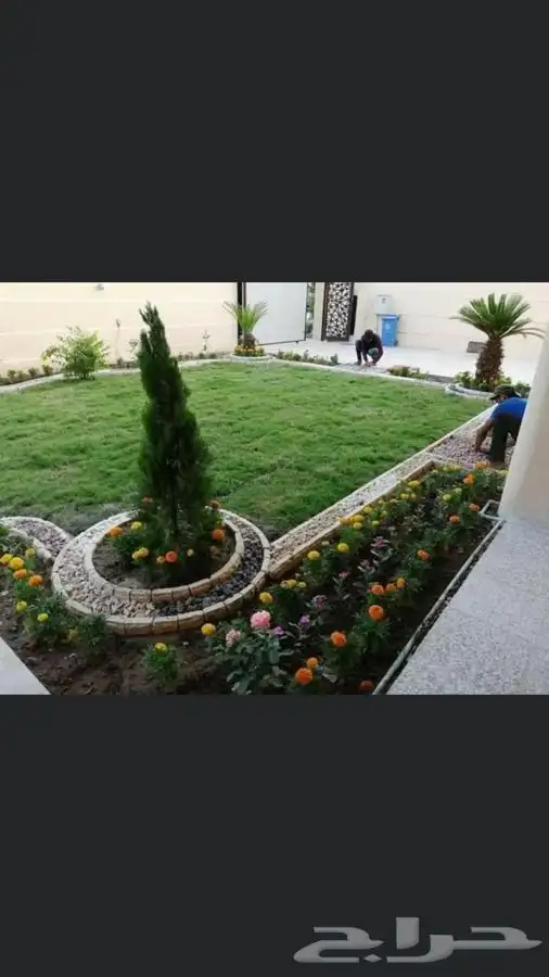 مشتل زهره الجنوب نجران لجميع انواع الاشجار الزينه والمثمره ب 0