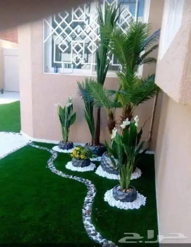 مشتل زهره الجنوب نجران لجميع انواع الاشجار الزينه والمثمره ب 13