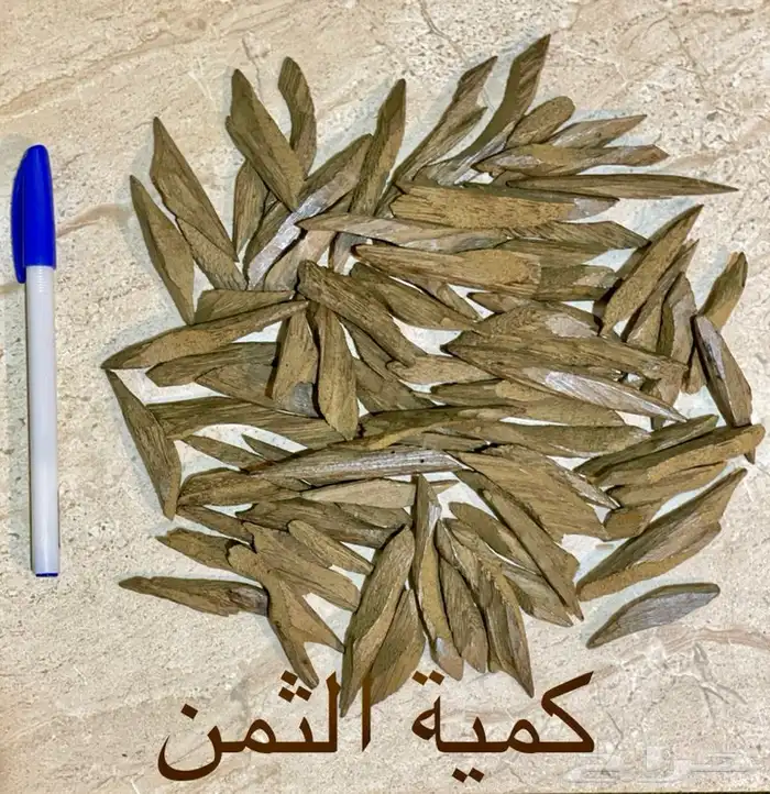 موروكي محسن بيور 1
