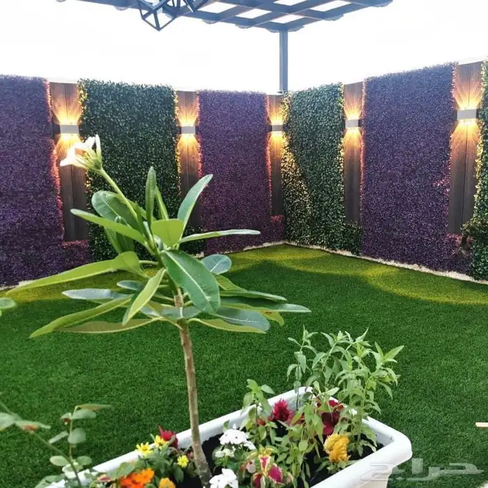 مشتل زهره الجنوب نجران لجميع انواع الاشجار الزينه والمثمره ب 5