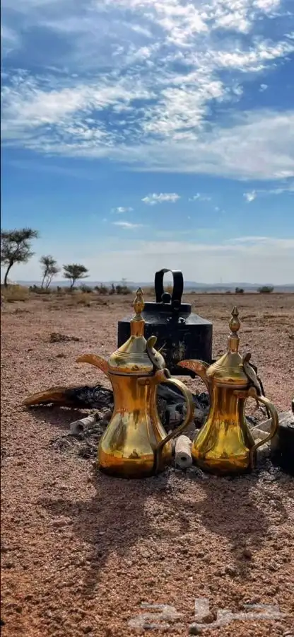 ضيافة الزامل قهوجي وصبابين موقع الاحساء 4