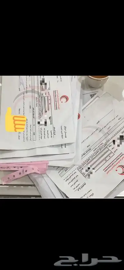 روثانة المدينه 15