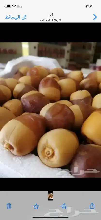 روثانة المدينه 14