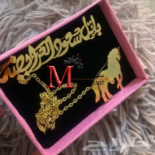بروشات الخيل بالإسم 21