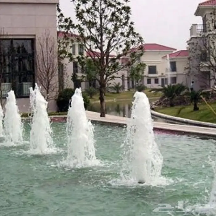 رأس نافورة تاجية 1