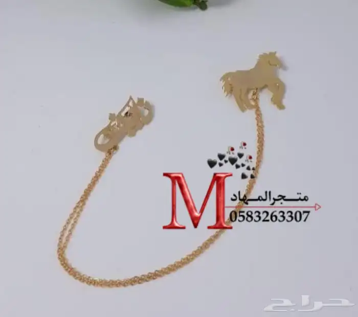 بروشات الخيل بالإسم 14