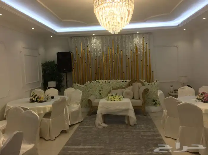 لوازم حفلات سماعات.استيج.مكعبات مضيئة.ليزر.بخار.بالونات 6