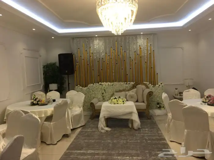 لوازم حفلات سماعات.استيج.مكعبات مضيئة.ليزر.بخار.بالونات 7