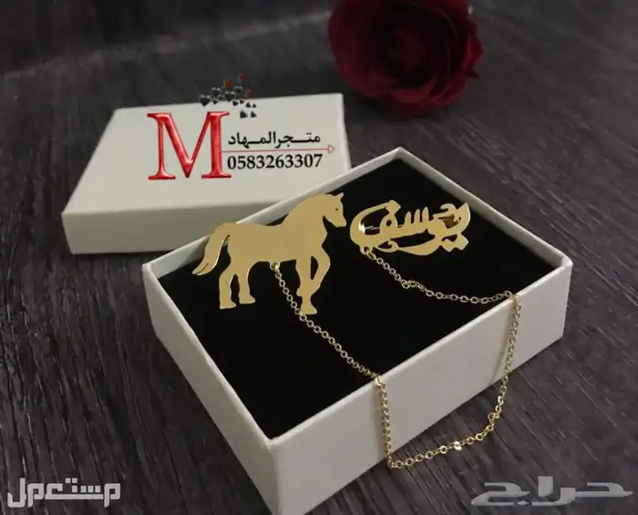 بروشات الخيل بالإسم 12