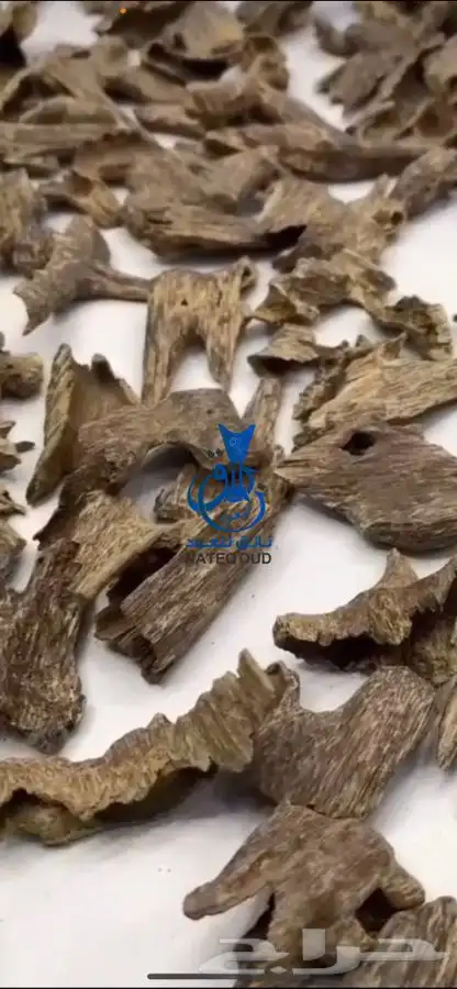 عود كمبودي طبيعي قديم اندر ووتر غطاس ومن نوادر العود 2