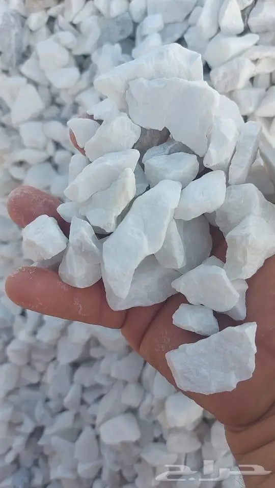 موسسة رمال الذهبي للنقليات والمقاولات 6