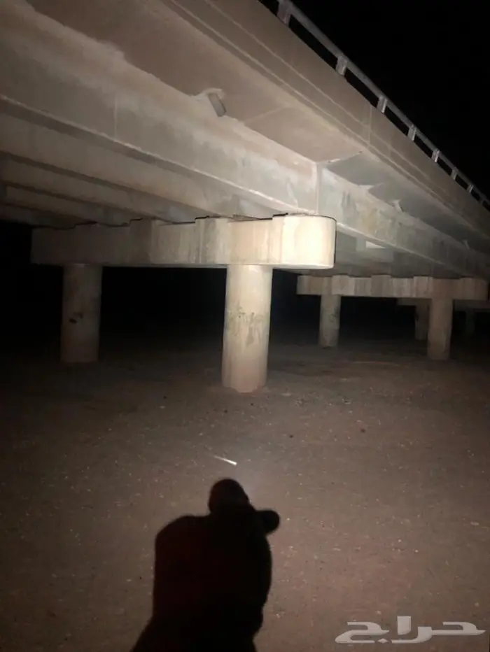 أصغر كشاف - نايتكور الاصلي 99 ريال 16