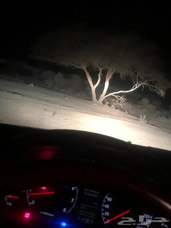 أصغر كشاف - نايتكور الاصلي 99 ريال 12