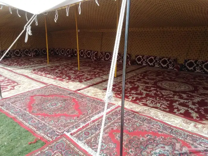 شبكة الافراح للحفلات والمخيمات وجميع المناسبات 8