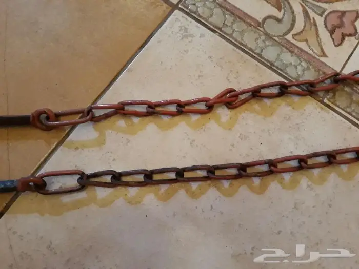سلاسل باب الحوض 1