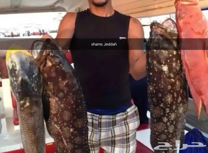 رحلات بحرية ( صيد-نزهة-سباحة ) 1